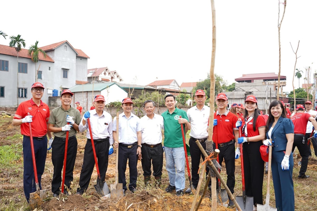 Đại diện Ban Giám đốc Dai-ichi Life Việt Nam, đại diện UBND xã Cổ Đô và GreenViet bên cây xanh vừa trồng trong chương trình.