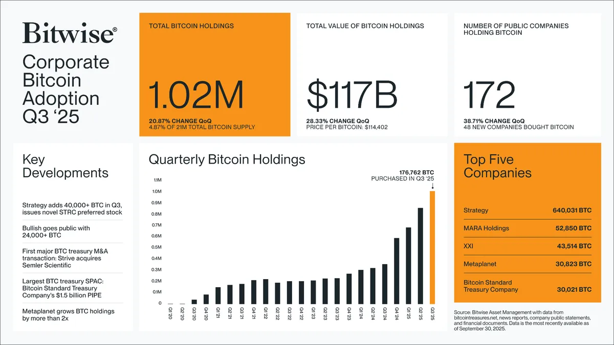 MicroStrategy tiếp tục là "cá voi" dẫn dắt thị trường với số lượng Bitcoin nắm giữ vượt trội. Nguồn: Bitwise.