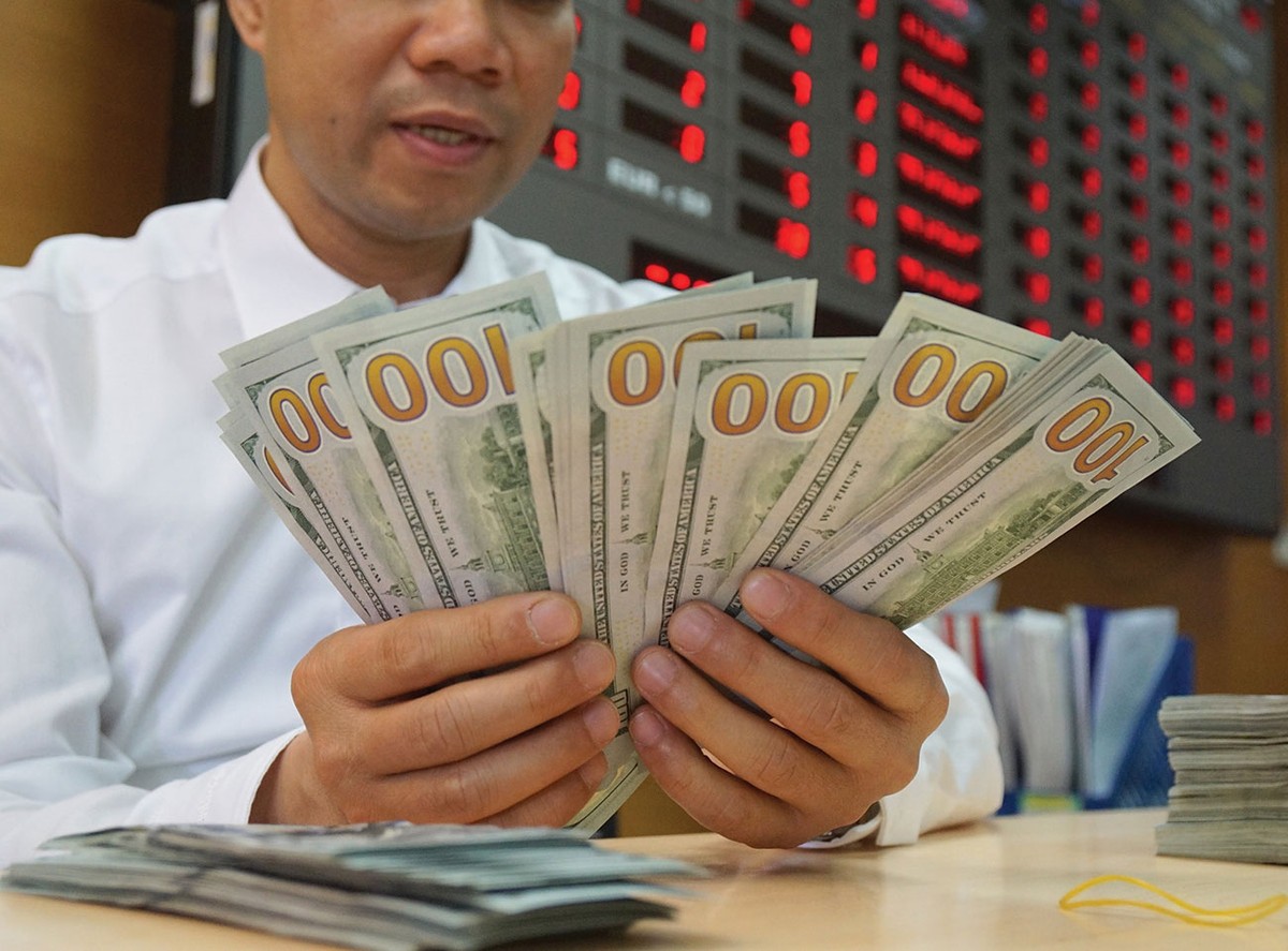 Tỷ giá không chịu áp lực tăng trong năm 2019 ảnh 2