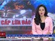  Kiểm tra 7 "ông lớn" bán hàng đa cấp ảnh 1