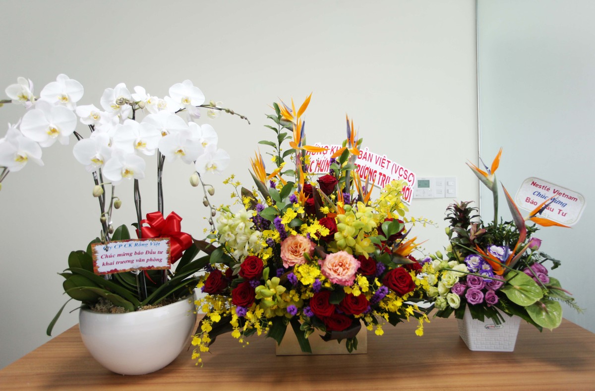 Văn phòng đại diện Báo Kl99ok phiên bản mới tại TP. HCM chuyển văn phòng mới ảnh 12 Văn phòng đại diện Báo Kl99ok phiên bản mới tại TP. HCM chuyển văn phòng mới ảnh 12