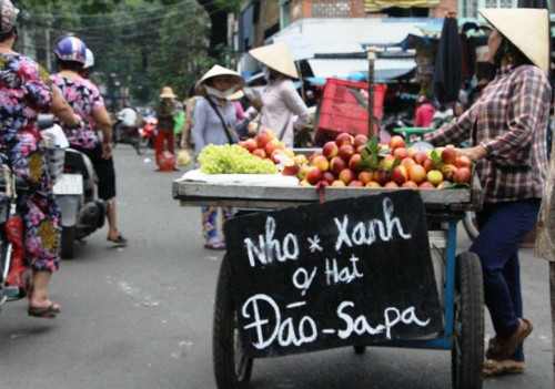 nhung-loai-trai-cay-trung-quoc-doi-lot-hang-viet-3