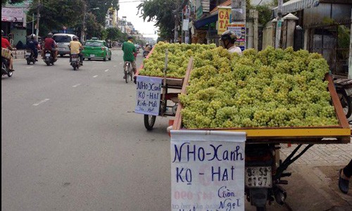 nhung-loai-trai-cay-trung-quoc-doi-lot-hang-viet