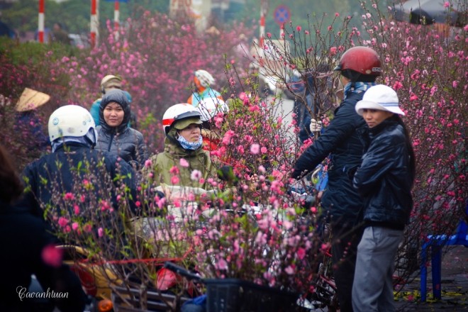 Chợ hoa Quảng Bá vào top điểm đón Tết Nguyên Đán đẹp nhất