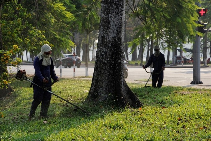 Mùa hoa gạo nở rộ vào tháng 3 ở xứ Huế