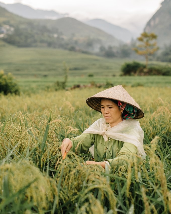 Khoảnh khắc đời thường ở Việt Nam qua ống kính nhiếp ảnh gia Bỉ ảnh 1