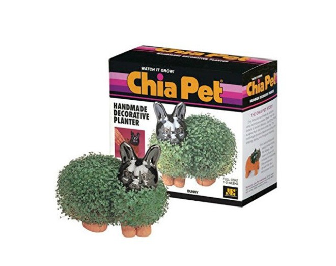 11 ý tưởng kỳ quặc giúp trở nên giàu có ảnh 10