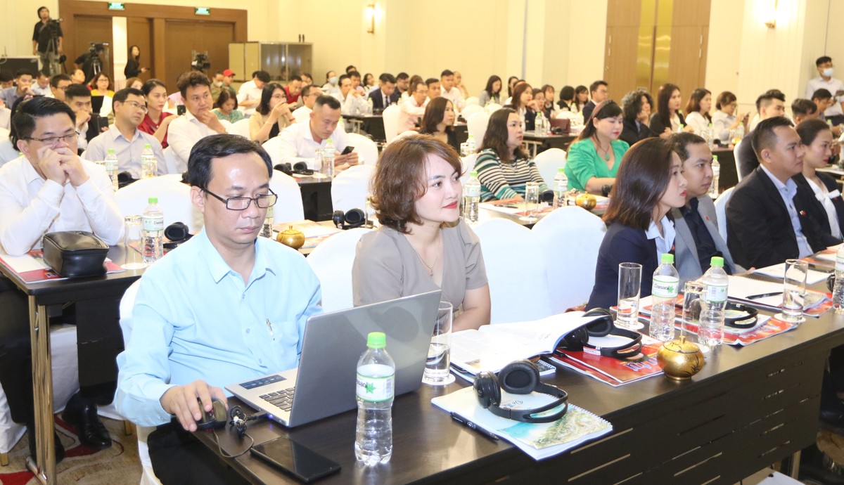 Sức hút đô thị biển ảnh 2