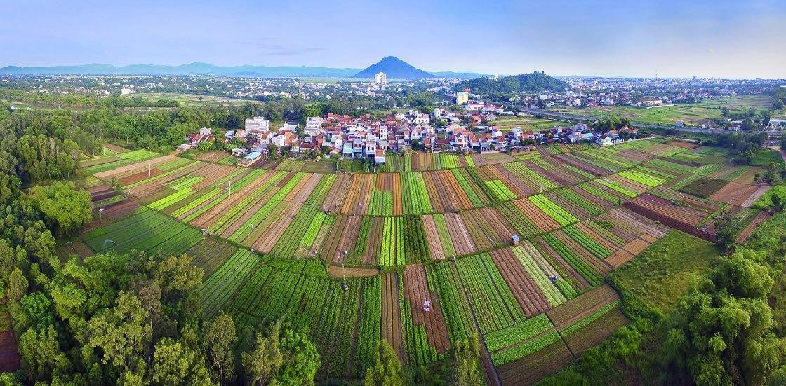 Giao lưu trực tuyến: “Phú Yên – Điểm đến hấp dẫn nhà Kl99ok phiên bản mới” ảnh 149