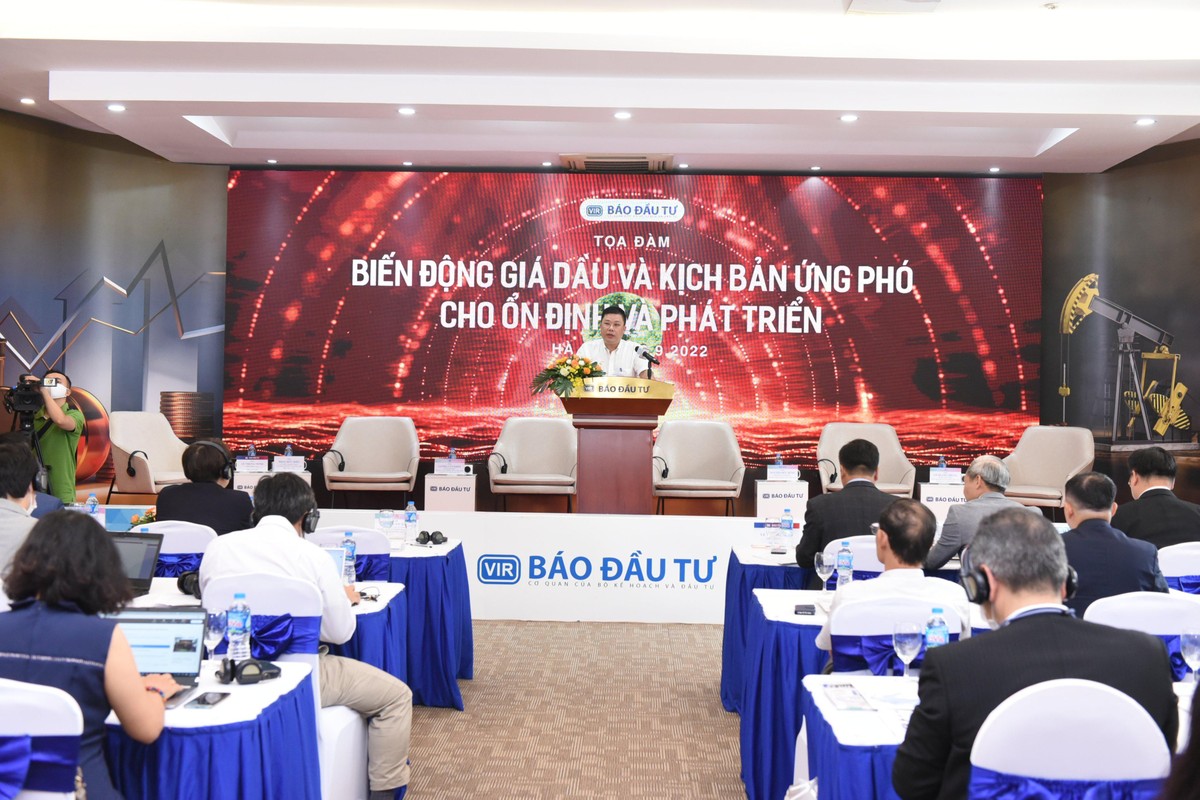 Biến động giá dầu và kịch bản ứng phó cho ổn định và phát triển ảnh 4