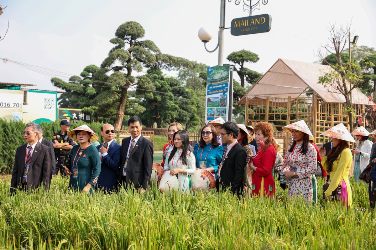 Home Hanoi Xuan 2023 với chủ đề Vũ trụ Tết diệu kỳ đã mang đến cho du khách những trải nghiệm ấn tượng. Ảnh: Home Hanoi Xuan. Home Hanoi Xuan 2023 với chủ đề Vũ trụ Tết diệu kỳ đã mang đến cho du khách những trải nghiệm ấn tượng. Ảnh: Home Hanoi Xuan.