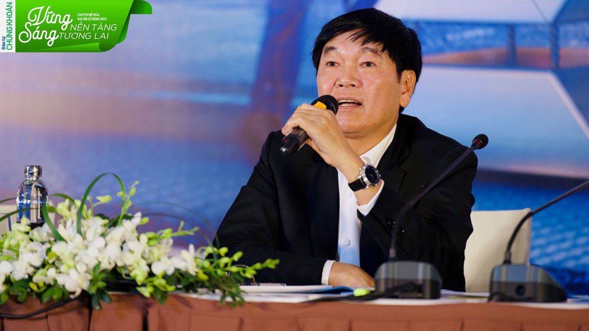 Ông Trần Đình Long, Chủ tịch HPG phát biểu tại ĐHCĐ.