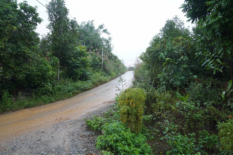 Chuyển đổi mục đích sử dụng đất luôn là bài toán khó của các địa phương có nhiều rừng. Ảnh: Mỹ An