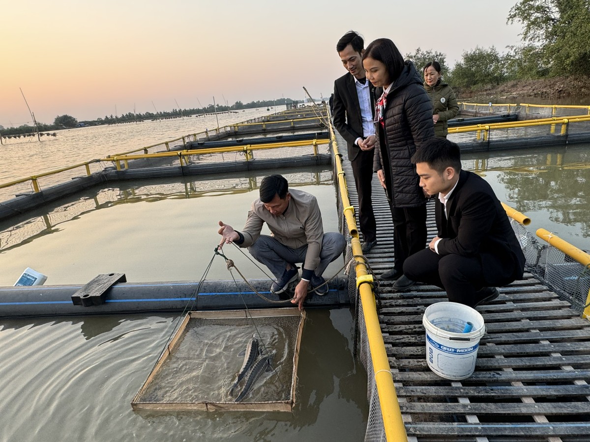 Bà Nguyễn Thị Thơm, Giám đốc Agribank Tiên Lãng và nhân viên Link Vào Nhà Cái KL99 COM Tặng +199k bên bè cá cùng ông chủ Phạm Văn Nhiêu