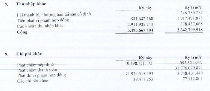 Cơ cấu thu nhập và chi phí khác của TDC trong 6 tháng đầu năm 2021