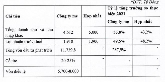 Kế hoạch năm 2022 của DIG.