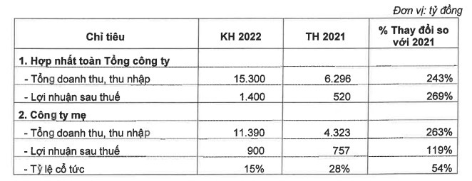 Kế hoạch năm 2022 của VCG.