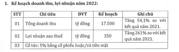 Kế hoạch năm 2022 của HBC.
