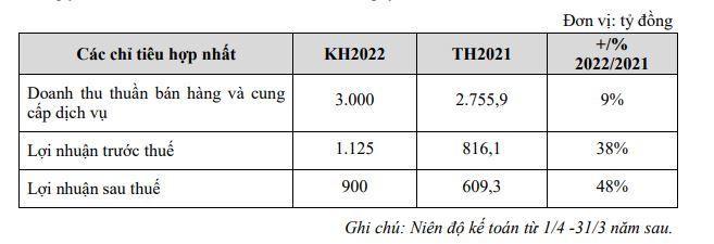 Kế hoạch năm 2022 của TCH.
