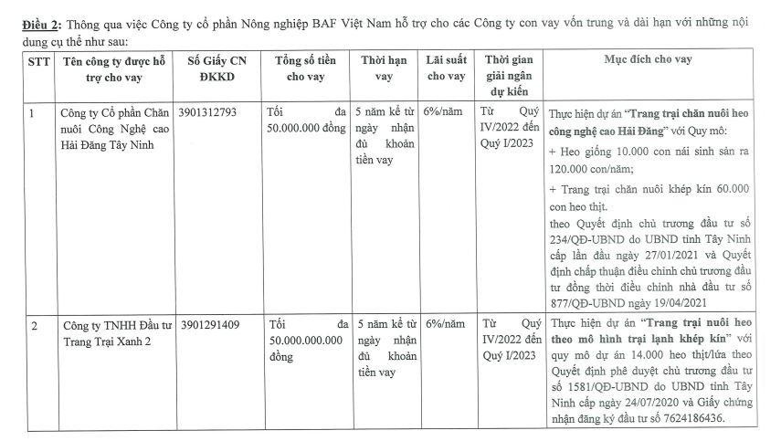 BAF cho 2 công ty con vay vốn kỳ hạn 5 năm.