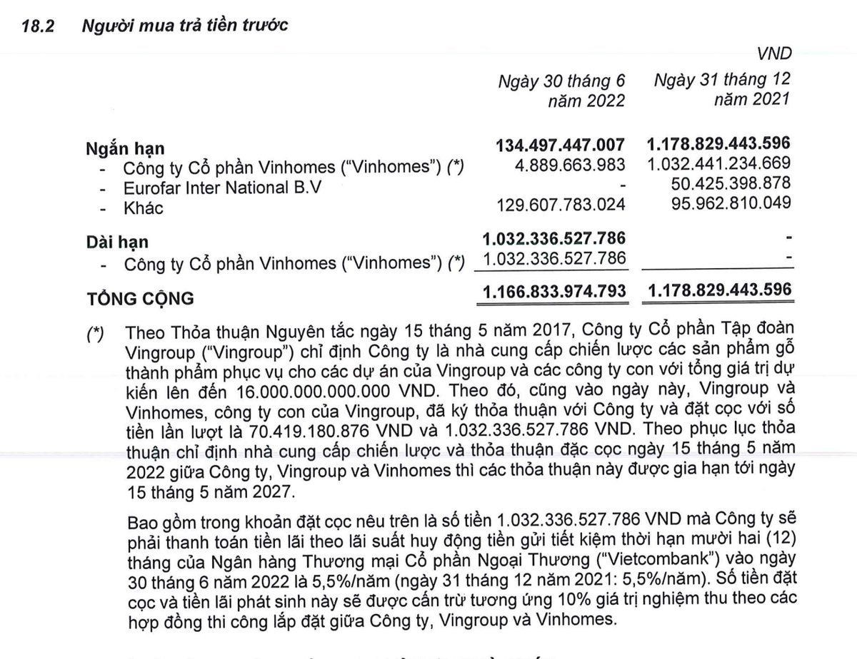 TTF chuyển khoản mục người mua trả tiền trước từ ngắn hạn sang dài hạn (Nguồn: TTF). TTF chuyển khoản mục người mua trả tiền trước từ ngắn hạn sang dài hạn (Nguồn: TTF).