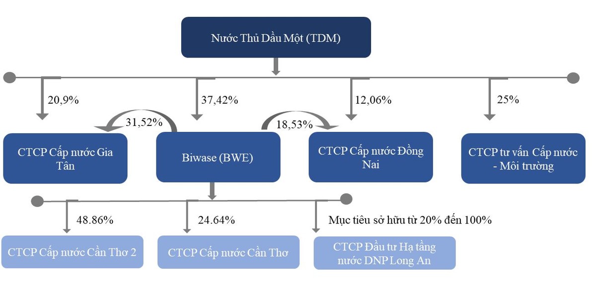 Sở hữu chéo giữa Nước Thủ Dầu Một, Biwase và các Công ty cấp nước