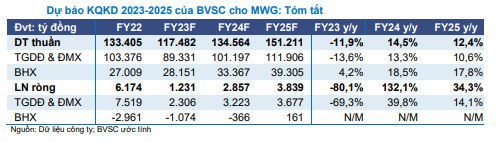 BVSC ước tính chuỗi Bách hóa Xanh sẽ lỗ năm 2023 và năm 2024
