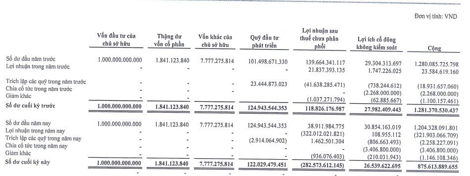TDC bắt đầu chuyển sang lỗ lũy tại thời điểm 30/6/2023