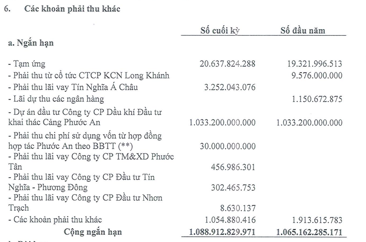 Phát triển Khu công nghiệp Tín Nghĩa phát sinh phải thu 1.033,2 tỷ đồng với Cảng Phước An