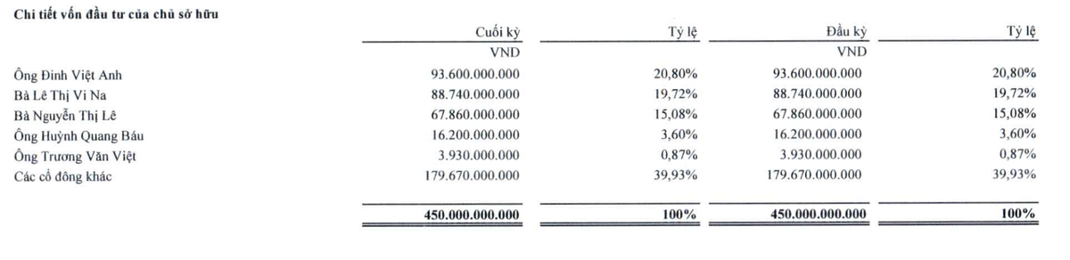 Cơ cấu Trang Chủ KL99Com Số 1 Link Đăng Ký KL999 của Royal Invest JSC tại thời điểm 30/6/2024