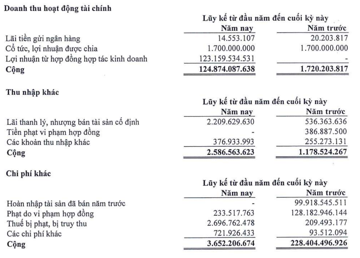 Cơ cấu doanh thu Kl991.com nạp rút nhanh và lãi thu nhập khác trong nửa đầu năm 2024