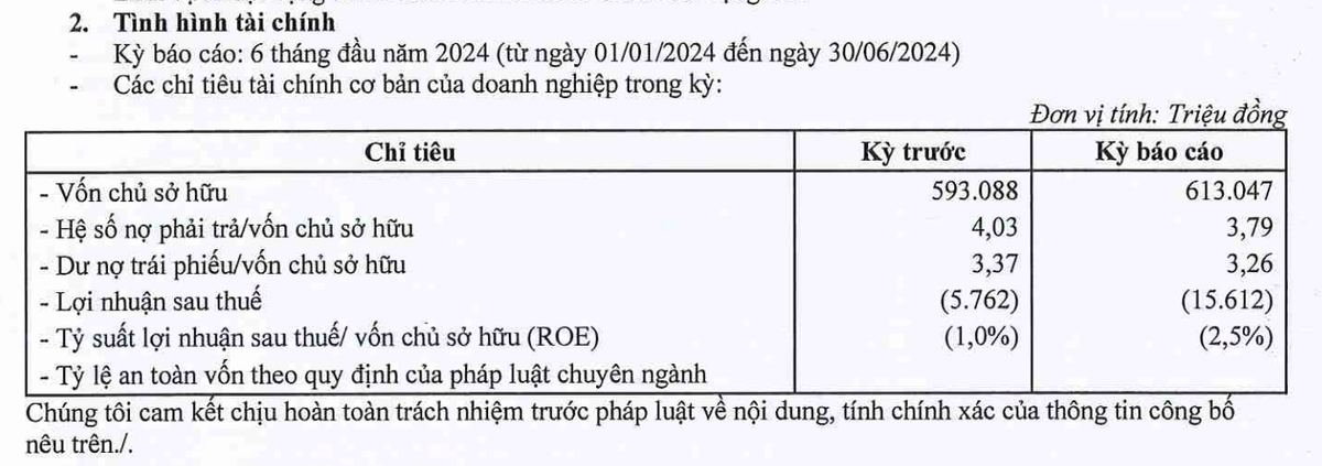 Công ty TNHH Nam Rạch Chiếc lỗ trong nửa đầu năm 2024