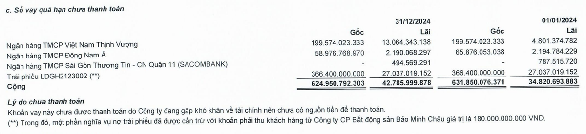 Các khoản nợ quá hạn thanh toán của LDG tại thời điểm 31/12/2024