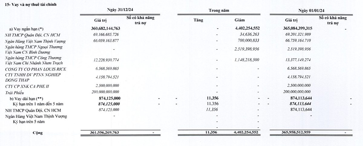 Cơ cấu nợ vay của VKC Holdings tại thời điểm cuối năm 2024