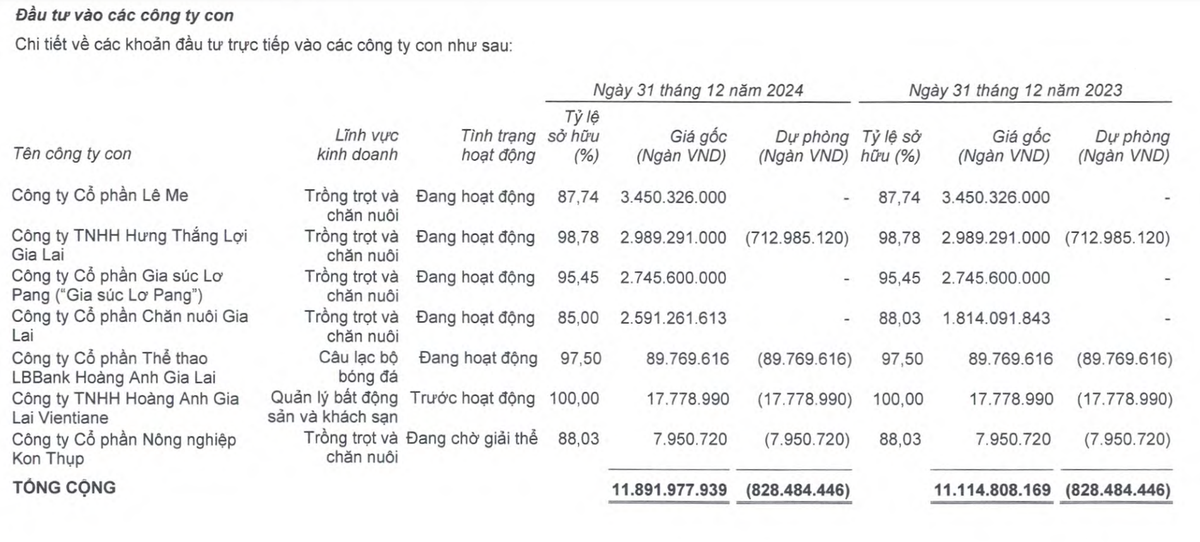 Hoàng Anh Gia Lai đã phải trích lập toàn bộ giá trị Kl99ok phiên bản mới vào Công ty cổ phần Nông nghiệp Kon Thụp