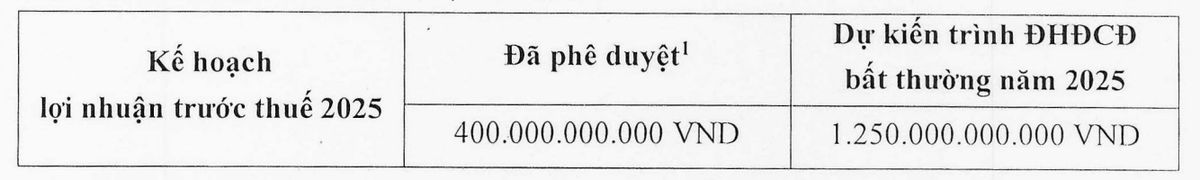 Viconship nâng kế hoạch lãi năm 2025.