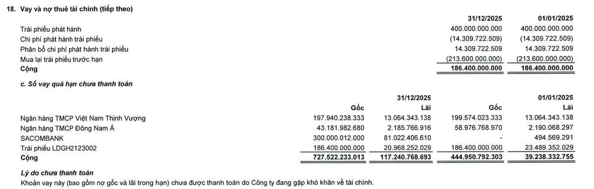 Kl99ok phiên bản mới LDG ghi nhận khoản vay quá hạn chưa thanh toán tại thời điểm 31/12/2025.