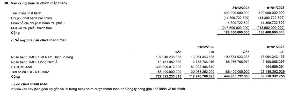LDG thuyết minh một số khoản vay và Kl99kl Hoàn Trả Vô Tận đã quá hạn chưa thanh toán tại thời điểm 31/12/2025. Nguồn: LDG