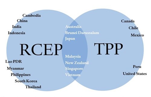 Quên TPP đi, sự chú ý lúc này phải là RCEP ảnh 3