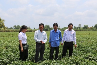 Agribank: Cùng Đồng bằng sông Cửu Long phát triển bền vững ảnh 1