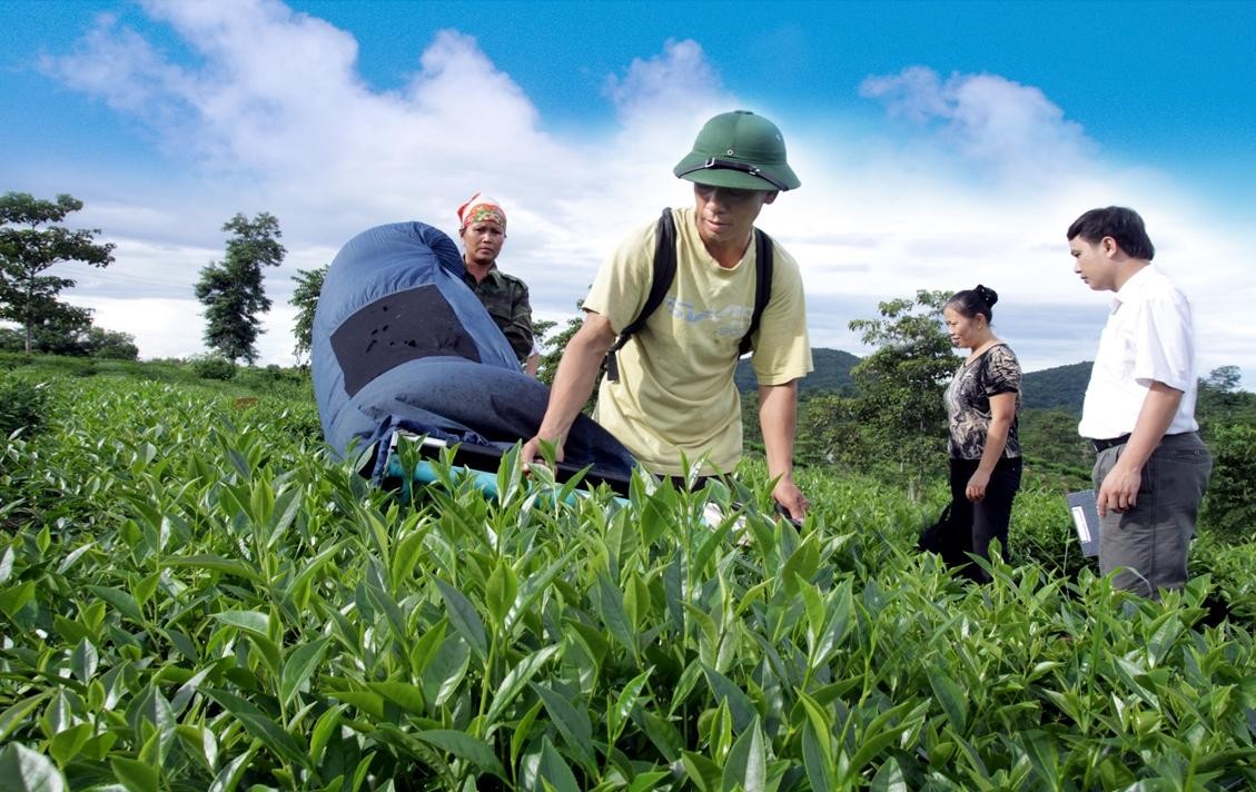 Agribank thể hiện quyết tâm trong điều kiện khó khăn vẫn luôn hỗ trợ và đồng hành cùng Kl991.com World Cup 2026 Chính Thức, người dân góp phần phục hồi Kl994 nhà cái bóng đá world cup Kl992 VIP Trang Chủ 2026