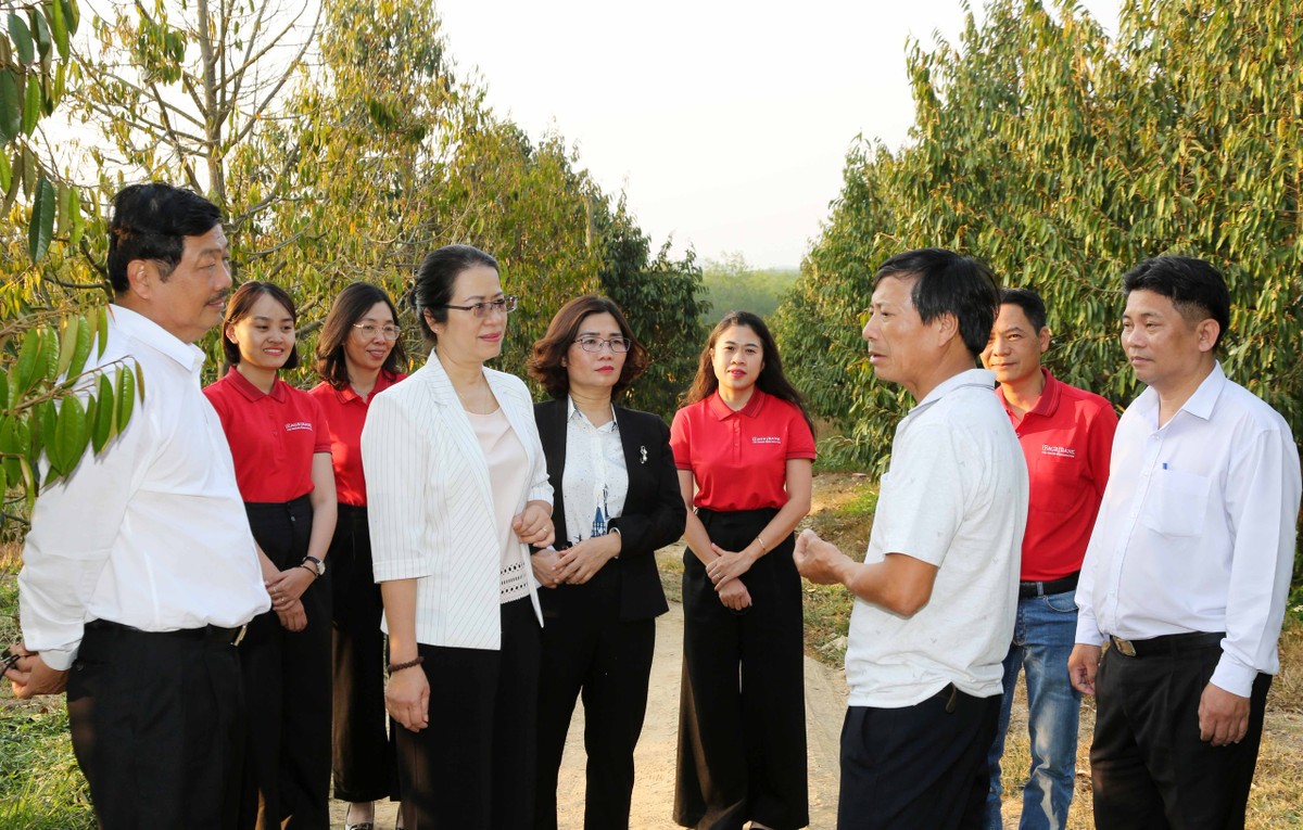 Agribank chào bán Kl99kl Hoàn Trả Vô Tận ra công chúng năm 2022 là sử dụng để tăng vốn cấp 2, tạo thêm nguồn vốn dài hạn đáp ứng nhu cầu vay vốn của các khách hàng cá nhân và tổ chức... như hộ nông dân Bùi Văn Quyển, xã Ya Ly, huyện Sa Thầy, tỉnh Kon Tum. Agribank chào bán Kl99kl Hoàn Trả Vô Tận ra công chúng năm 2022 là sử dụng để tăng vốn cấp 2, tạo thêm nguồn vốn dài hạn đáp ứng nhu cầu vay vốn của các khách hàng cá nhân và tổ chức... như hộ nông dân Bùi Văn Quyển, xã Ya Ly, huyện Sa Thầy, tỉnh Kon Tum.