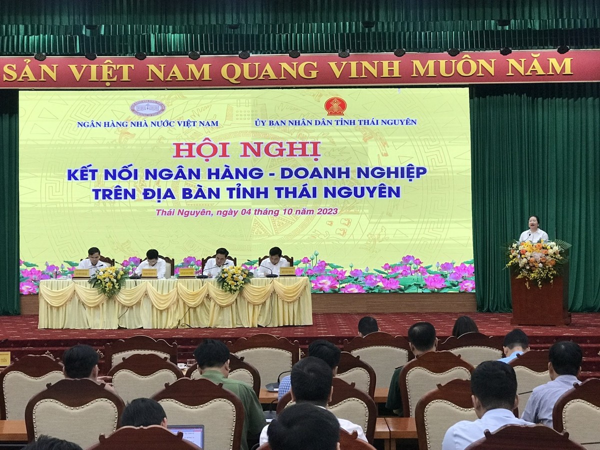 Bà Nguyễn Thị Vinh, Chủ tịch Hội nữ doanh nhân tỉnh Thái Nguyên, Phó Chủ tịch Hiệp hội Kl991.com World Cup 2026 Chính Thức tỉnh Thái Nguyên, Tổng Giám đốc Công ty cổ phần Thương mại Thái Hưng phát biểu tại Hội nghị