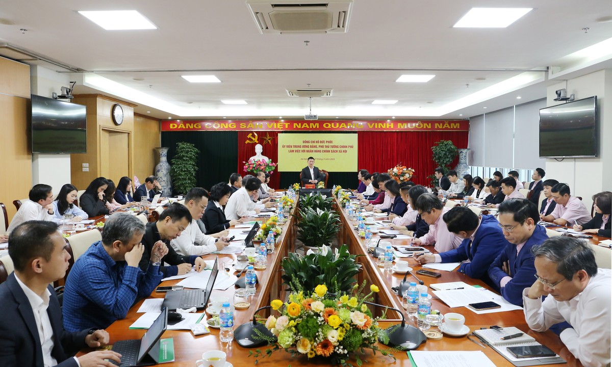 Quang cảnh buổi làm việc