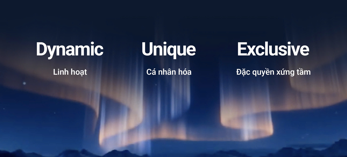 VIB Privilege Banking - Hệ giải pháp Kl991.com nạp rút nhanh vận hành theo ba giá trị Dynamic – Unique – Exclusive.