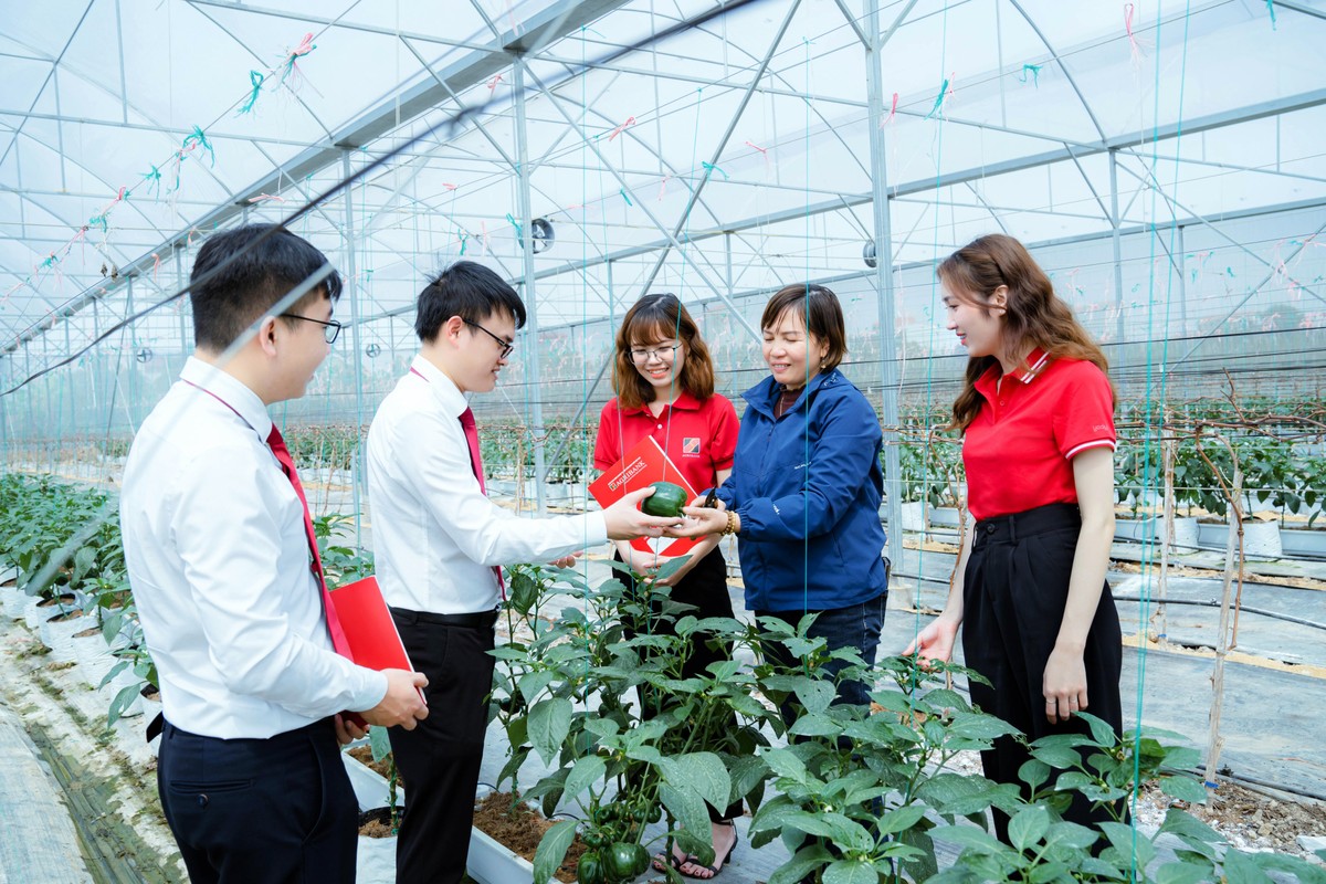 Các chương trình tín dụng ưu đãi cho các dự án nông nghiệp quy mô lớn, dự án xanh vẫn được tiếp tục triển khai với cơ chế riêng biệt
