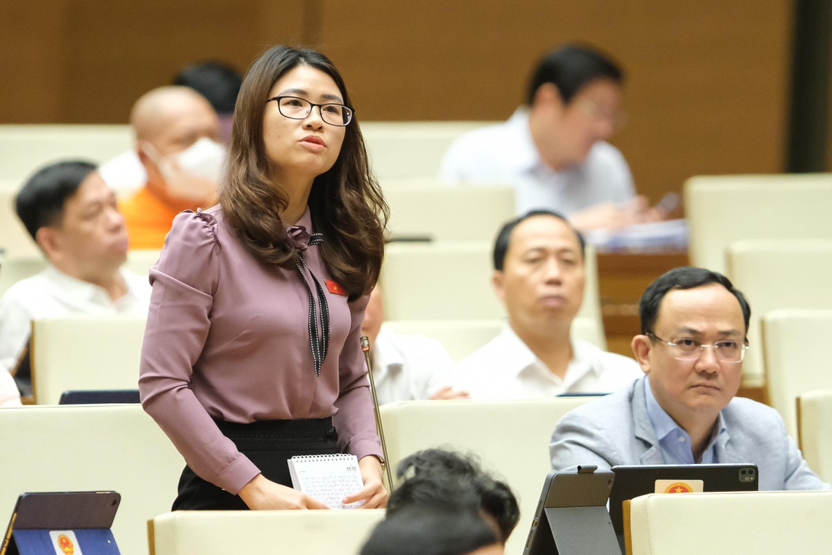 Đại biểu Quốc hội Đinh Thị Ngọc Dung (đoàn Hải Dương)