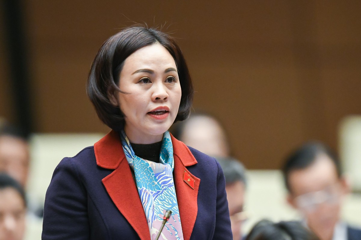 Đại biểu Trần Thị Hồng Thanh (đoàn Ninh Bình)