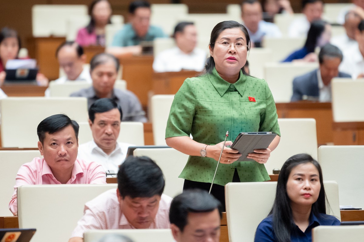 Đại biểu Nguyễn Thị Minh Trang (đoàn Vĩnh Long).