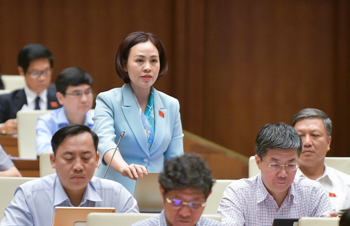 Đại biểu Trần Thị Hồng Thanh (đoàn Ninh Bình)
